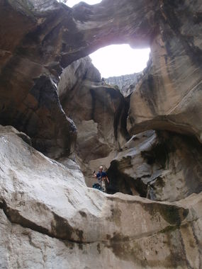 El Salto Banner.jpg