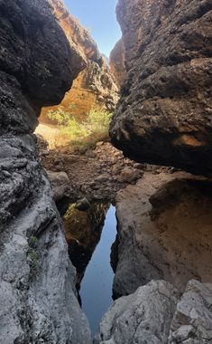 Dionysus Canyon Banner.jpg