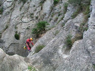 Pas Calvo Banner.jpg