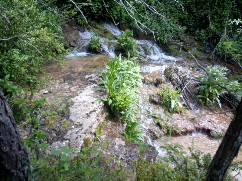 File:Riera de Clara-20180527195350 pic.jpg