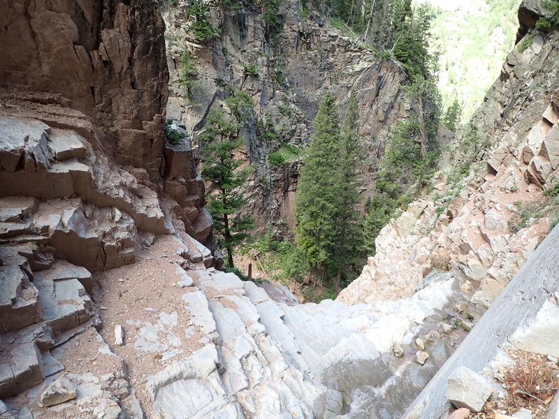 File:Sheepdog Creek pic10.jpg