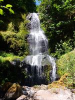 Stafford Creek-20210703043534 pic.jpg