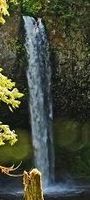 Big Creek (South Cascades)-20160629012209 pic.jpg