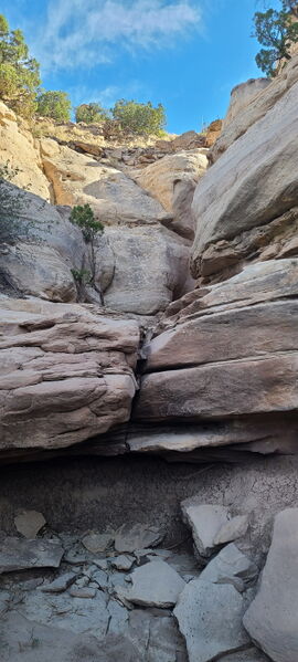 File:Knee Canyon (South) pic006.jpg
