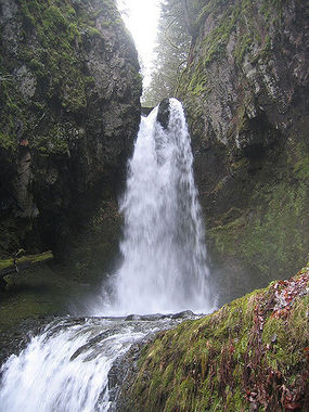 Lindsey Creek Banner.jpg
