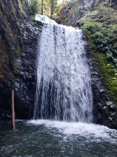 Parkett Creek-20190701213415 pic.jpg