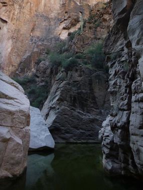 Pinto Creek Canyon Banner.jpg
