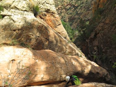 Boltergeist Canyon Banner.jpg