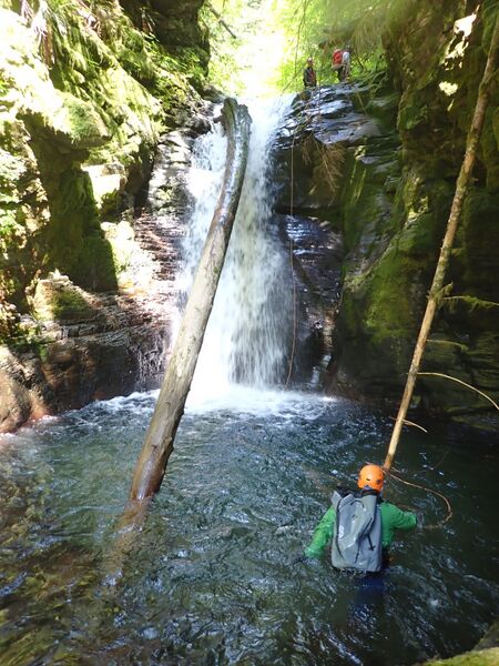 File:Fossil Creek (Mt. St. Helens) R10.jpg
