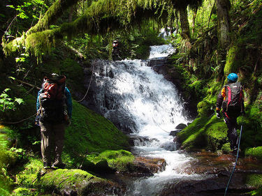 Little Woodward Creek Banner.jpg