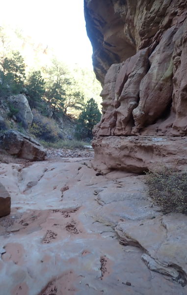 File:Miller Creek (Dinosaur) pic4.jpg