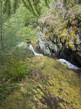 Quartz Creek (South Cascades) Banner.jpg