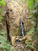 Soda Creek-20200815021851 pic.jpg