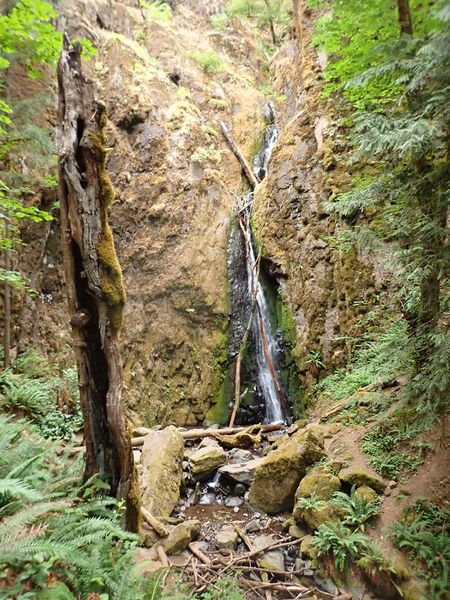 File:Soda Creek-20200815021851 pic.jpg