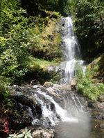 Stafford Creek-20170318053629 pic.jpg