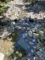 Thorp Creek-20260720021030 pic.jpg