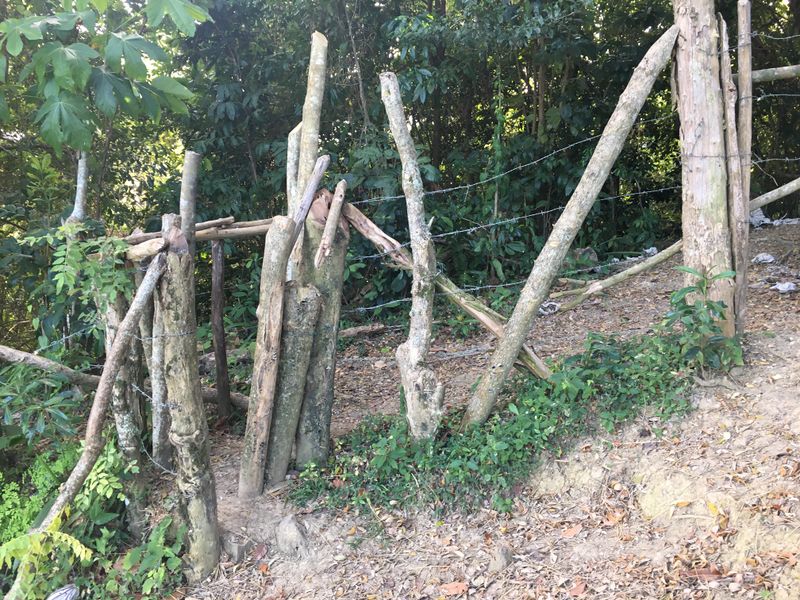 File:Arroyo Blanco Canyon gate.jpg