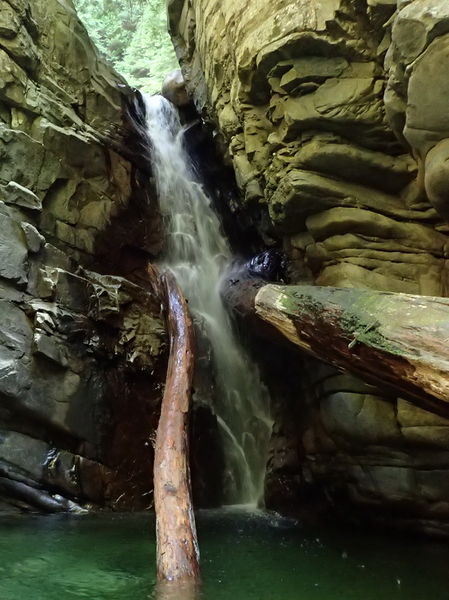File:Cypress Creek-20150713224356 pic.jpg