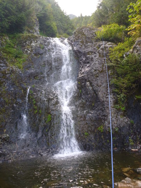 File:Clear Creek (West Fork) JumboFrogR7HalfwayLookingUp.jpg