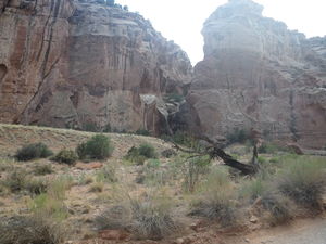 FILE-20180612211721.jpg