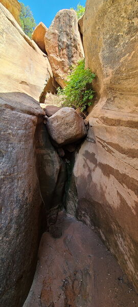 File:Carcass Canyon (Dinosaur) pic08.jpg