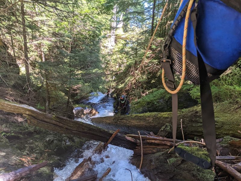 File:Hawthorn Creek (North Cascades) hawthorn overhead log rap.jpg
