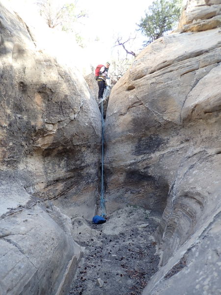 File:Cougar Canyon (New Mexico) pic4.jpg