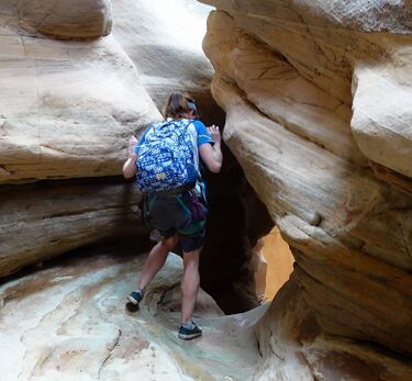 Forgotten and Lower Eagle Canyon Banner.jpg