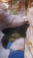 Thumbnail for version as of 05:51, 4 January 2016
