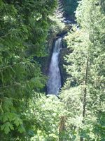 Rock Creek (Cowlitz County)-20210601160608 pic.jpg