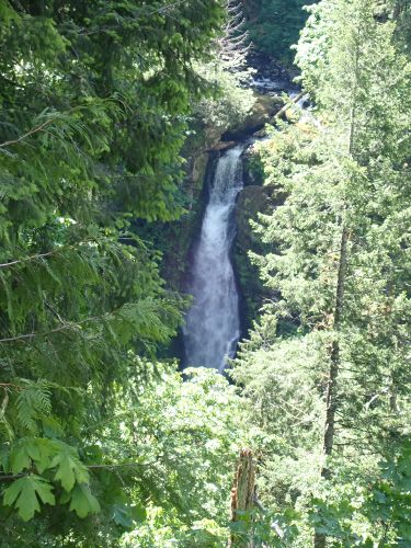 Rock Creek (Cowlitz County)-20210601160608 pic.jpg