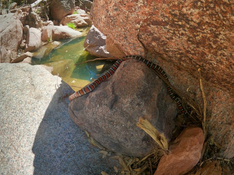 File:Salome Canyon (Upper) 5.jpg