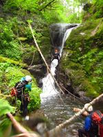 Woodward Creek-20170605011656 pic.jpg