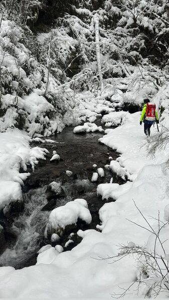 File:Galena Creek-20250209190722 pic.jpg