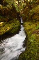 Hager Canyon-20220721140345 pic.jpg