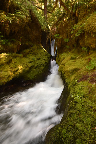 Hager Canyon-20220721140345 pic.jpg