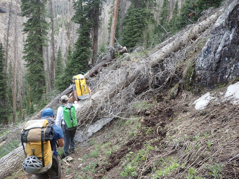 File:Quartz Creek (San Juans) pic5.jpg