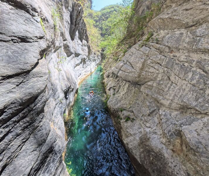 File:Hidrofobia narrowsswim.jpg