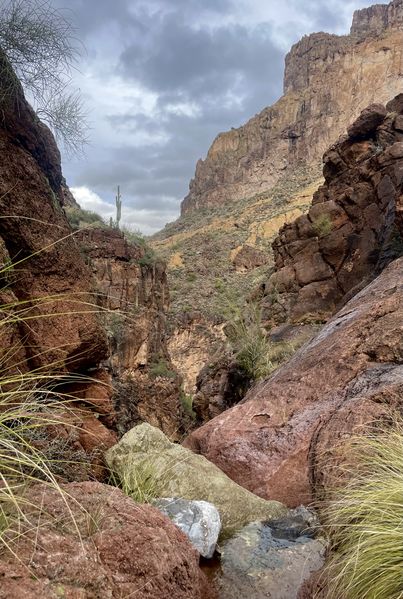 File:Ladder Canyon Banner.jpg