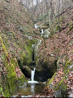 Mudcut Branch Canyon-20240514024127 pic.jpg