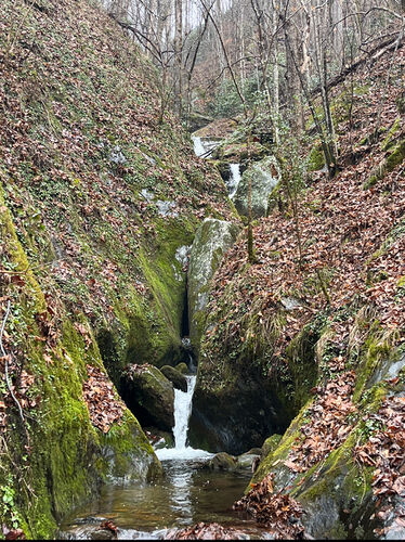 Mudcut Branch Canyon-20240514024127 pic.jpg