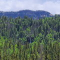 Thumbnail for version as of 22:42, 17 June 2022