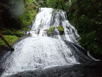 Gnat Creek-20200608041927 pic.jpg