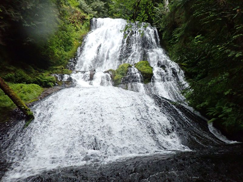 File:Gnat Creek-20200608041927 pic.jpg