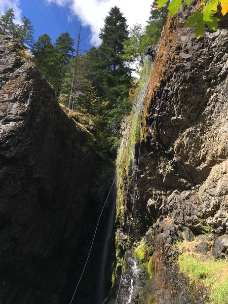 File:Henline Creek Canyon-20170630232527 pic.jpg