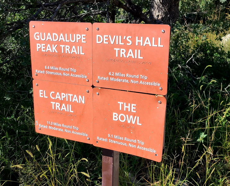File:Pine Springs (Devil's Hall) pic2.jpg