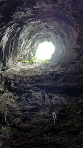Golondrinas lookingup.jpg