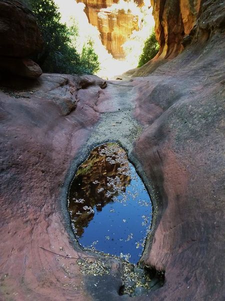 File:Lobo Canyon Banner.jpg