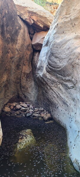 File:Pool Creek (Dinosaur) pic12.jpg