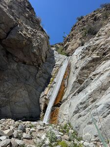 IMG 2295.JPG